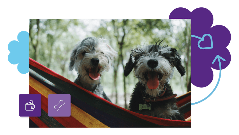 Loyaltylion Website Pet Care Brands V3 A